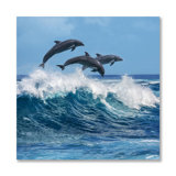Dolphin Play Print