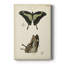 «Butterfly Profile II», impression sur toile tendue-824633265