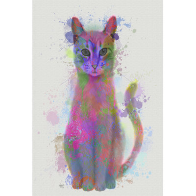 Chat arc-en-ciel 4
