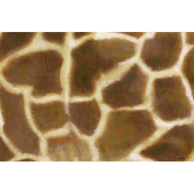 " Giraffe II " by Norman Wyatt Jr. Painting Print