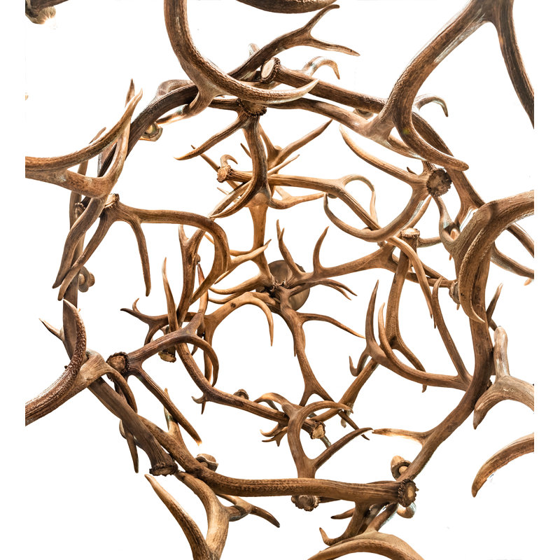 Rustic Lodge 18 - Light Chandelier