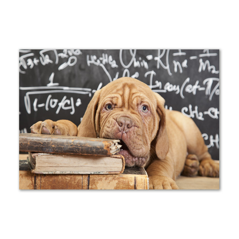 The Dog Bites The Book - Wrapped Canvas Print