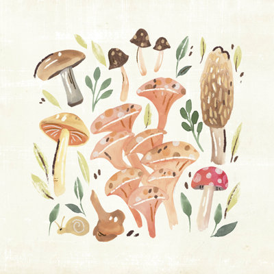 Champignon Field Trip IV