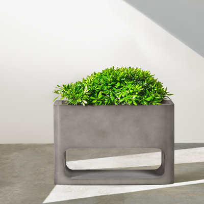 Boîte à fleurs en béton Camberlynn