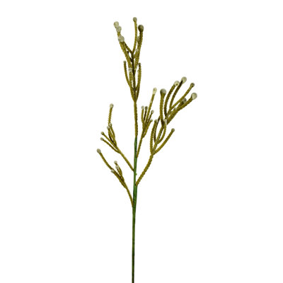 18 " Cactus Branch