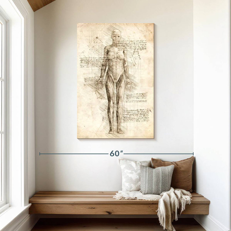 Keiri Human Muscles Female Anatomy, 45" H x 30" W