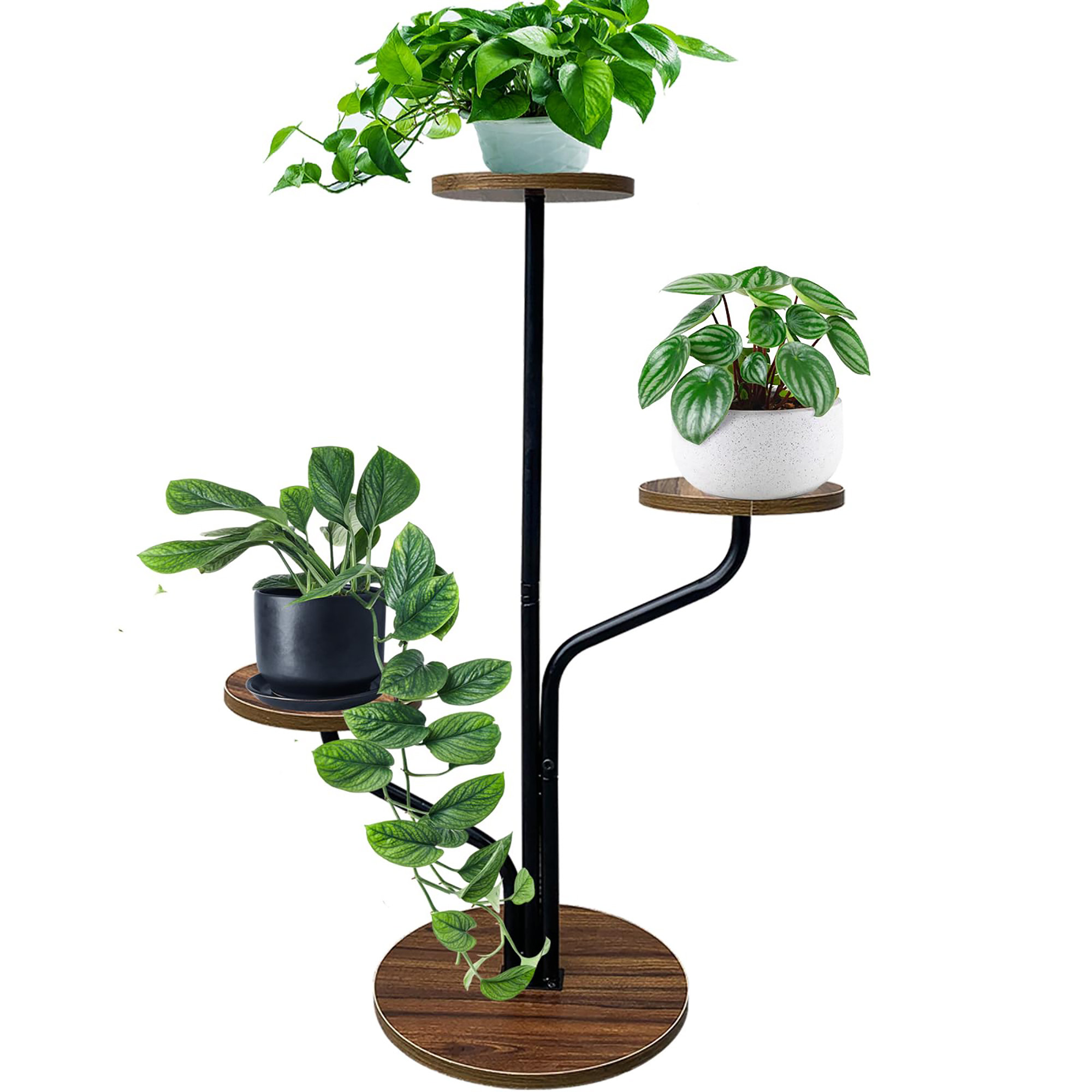 17 Stories Soula Plant Stand | Wayfair