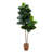 72'' Faux Rubber Tree Tree in Planter