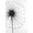 Bathroom Canvas Art | Home Decor Framed