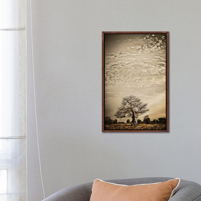 Baobab Hierarchy I by Klaus Tiedge - Print on Canvas
