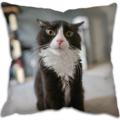 Valor Square Cushion