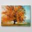 "Autumn's Passion" par Irene Weisz, reproduction de photo sur toile tendue-1284717880