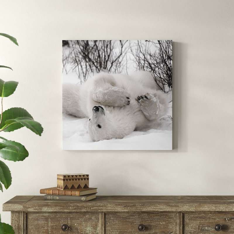 «Hudson Bay Bear», photographie, H 28 po x l 28 po x P 2 po, Cadre noir