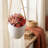 Wall Hanging Artificial Red Pink Succulent Plant