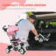 Push/Pull Ride On Toy