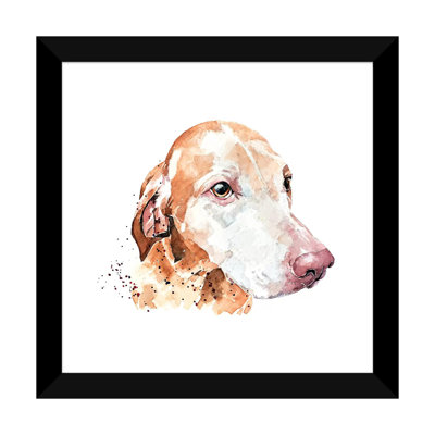 " Sugar Face Vizsla " by EdsWatercolours