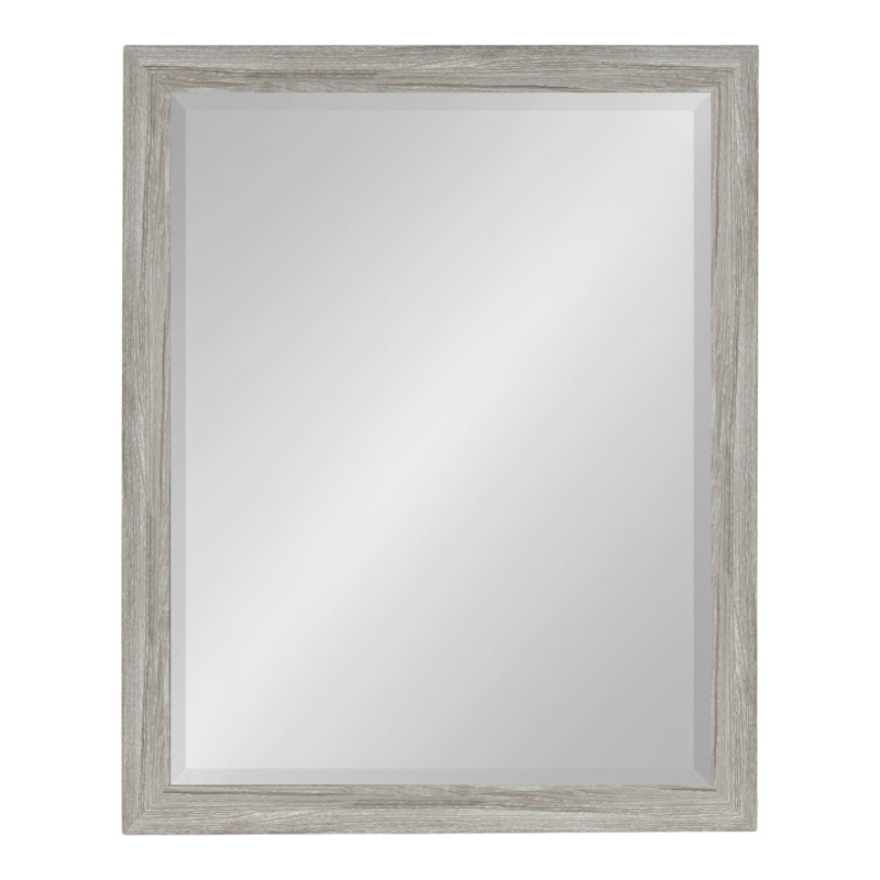 Dalphia Beveled Rectangle Bathroom Mirror