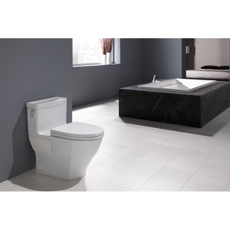 Bone Vitreous China Elongated One-Piece Toilet with Washlet Combo