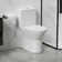 Advanced Dual-Flush Toilet with Comfort Seat and Efficient Flushing System