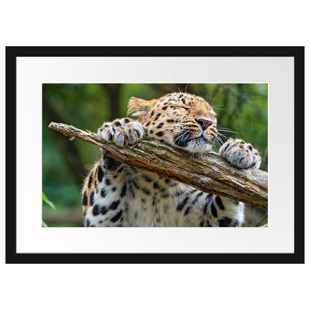 Gerahmtes Poster Verspielter Leopard