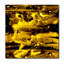 Black Gold Print-49240054-49240058