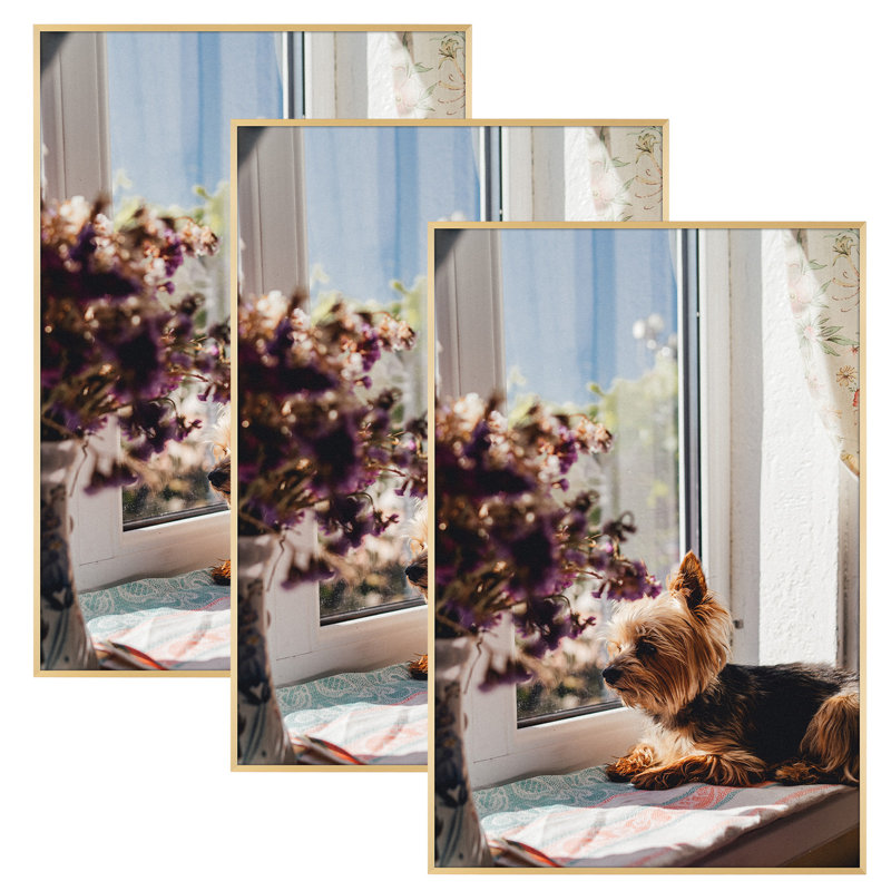 Drennon Metal Picture Frame - Set of 3, Gold, 24'' x 36''