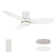 Cheretta 48" Ceiling Fan With Remote, Light Kit Included.