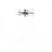 52'' Ceiling Fan with LED Lights-88061676-88061677