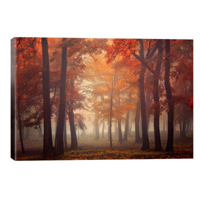 Feel by Ildiko Neer - Wrapped Canvas Print