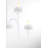 6 - Light Dimmable Classic / Traditional Chandelier