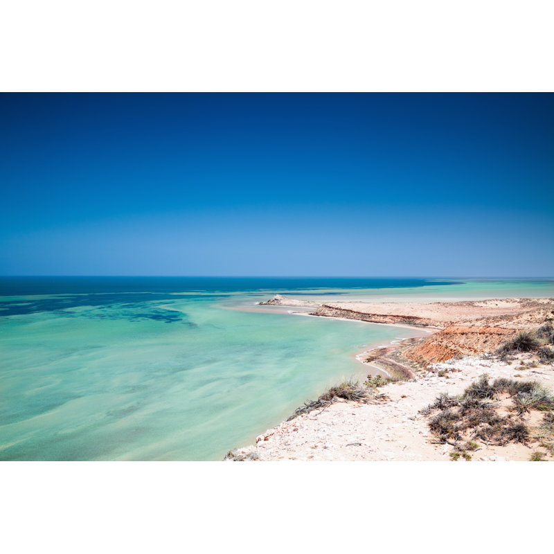 Australia Shark Bay - Wrapped Canvas Print, 51cm H x 76cm W x 3.8cm D
