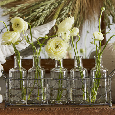 5 Glass Vase Bottles on a Rectangle Metal Holder with Handles