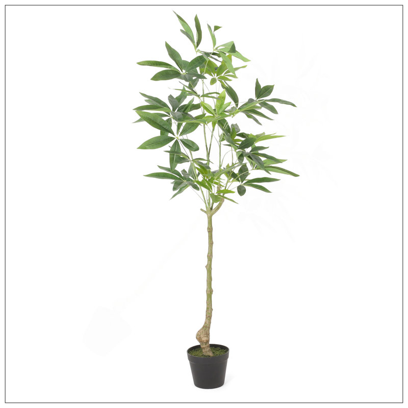 Macrocarpa artificiel Pachira, H 47,2 po x l 23,6 po x P 19,7 po