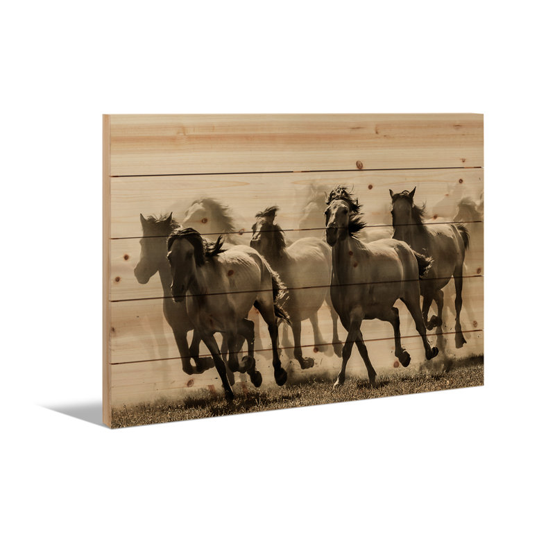 Impression sur bois en bois - Cheval par Heidi Bartsch, H 18 po x l 26 po