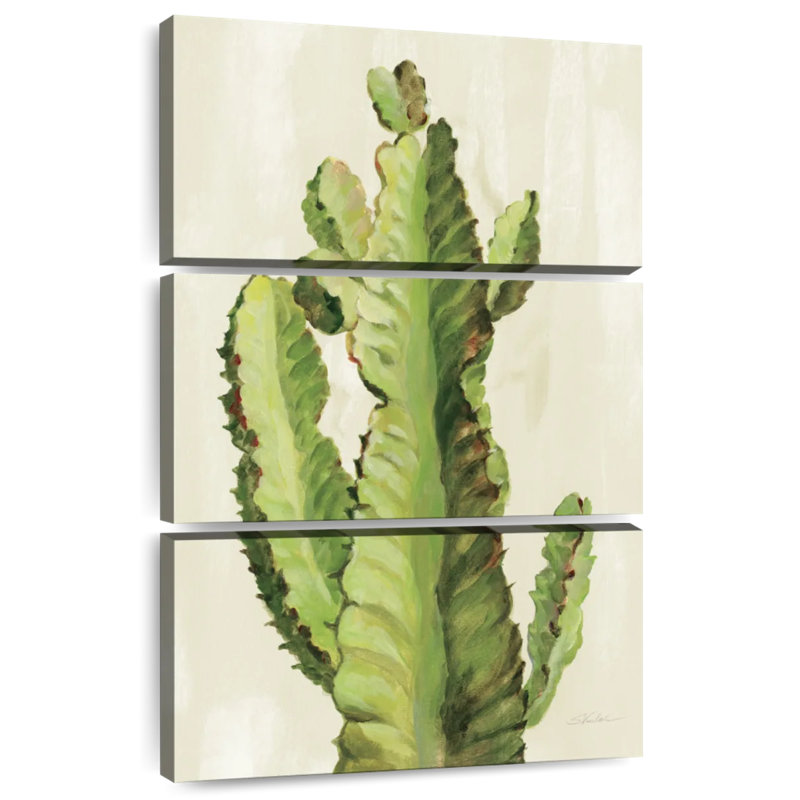 Cactus de cour avant Harnek II, H 32 po x l 20 po