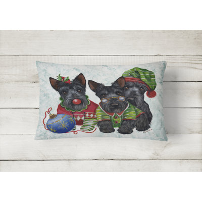 Outdoor Throw Pillow