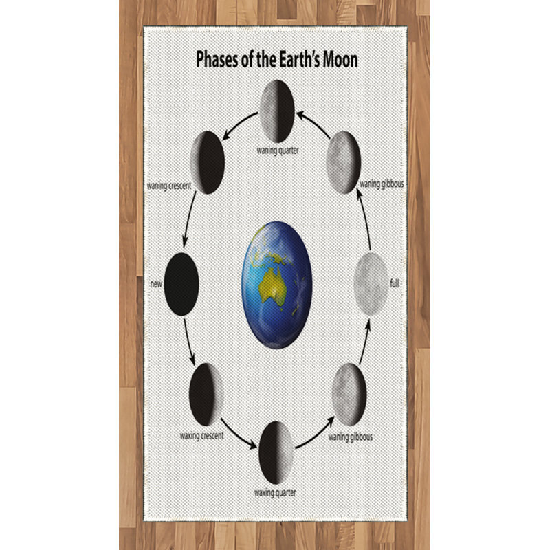 Tapis décoratif en fibre de polyester à haute densité, Rectangle 2 pi 7 po x 5 pi