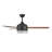 Diaundra 52'' Ceiling Fan with Light Kit-701479359