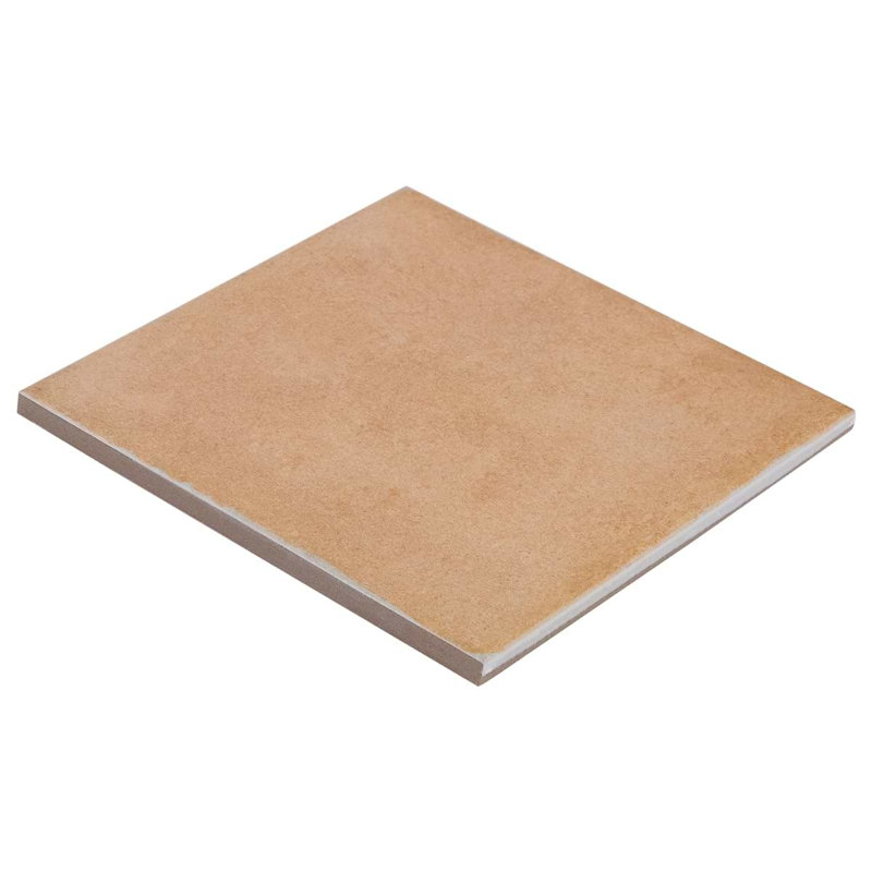 Essa 6x6 Terracotta Look Matte Porcelain Floor and Wall Tile, Terracotta