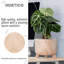 Wood Pot Planter-92659194