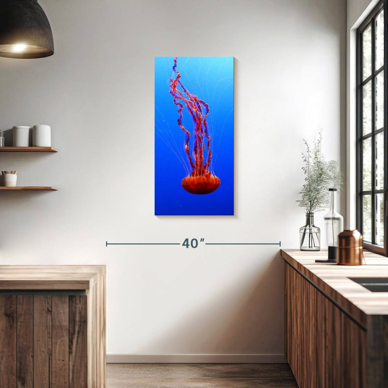 Sea Nettle Jellyfish, H 36 po x l 18 po