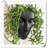 Kalesia Planter-181120542