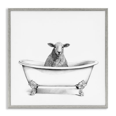 Mouton laineux dans la baignoire