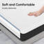  Classic 12" Medium Foam Mattress-1418062278