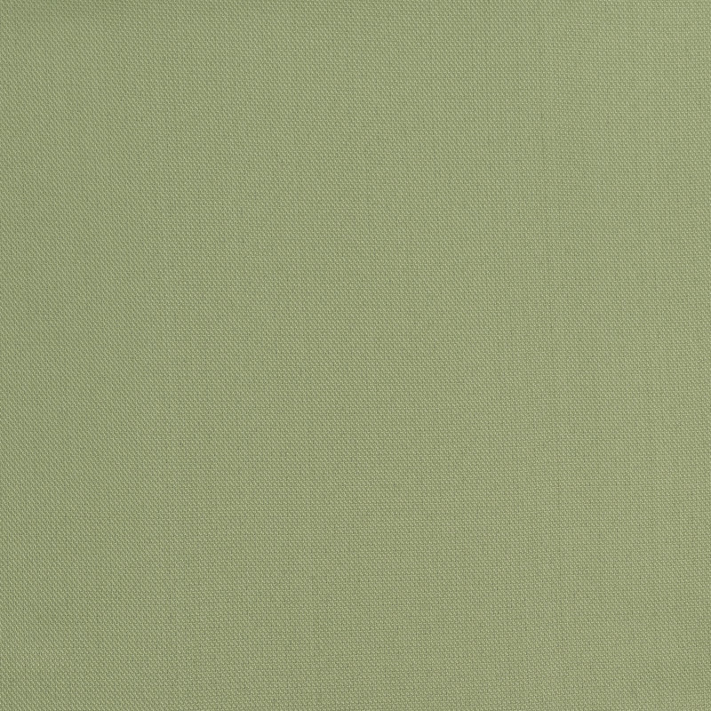 Panneau de rideau semi-diaphane Karpinski, L 40 po x L 95 po, Vert sauge