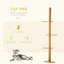 Tour pour chat Pawhut-992431413