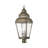 Arelene Lantern Head-76790907
