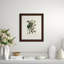 Verde Tinted Botanical II Print