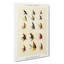 Trout Fishing Flies Version 4 by Mary Orvis Marbury - Wrapped Canvas-55303637