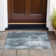 Caseville Abstract Indoor / Outdoor Rug